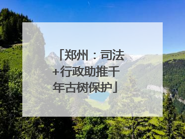 郑州：司法+行政助推千年古树保护