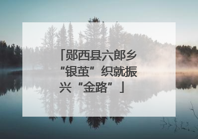 郧西县六郎乡“银茧”织就振兴“金路”