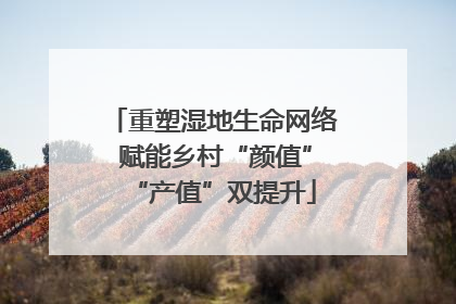 重塑湿地生命网络 赋能乡村“颜值”“产值”双提升