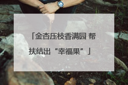 金杏压枝香满园 帮扶结出“幸福果”