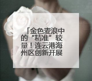 金色麦浪中的“精准”较量！连云港海州区创新开展机收减损技能竞赛