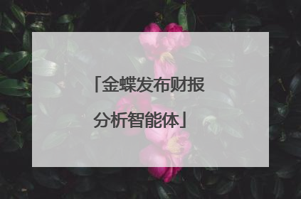 金蝶发布财报分析智能体