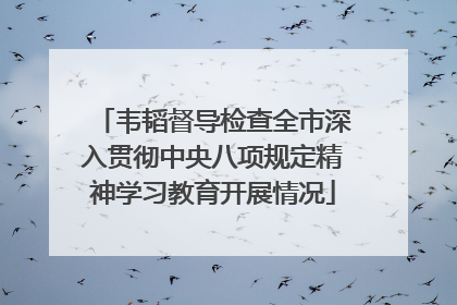韦韬督导检查全市深入贯彻中央八项规定精神学习教育开展情况