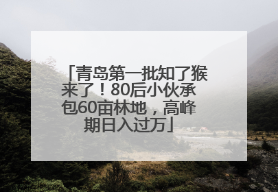 青岛第一批知了猴来了！80后小伙承包60亩林地，高峰期日入过万