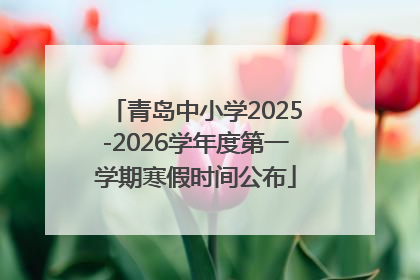 青岛中小学2025-2026学年度第一学期寒假时间公布