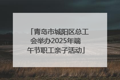 青岛市城阳区总工会举办2025年端午节职工亲子活动