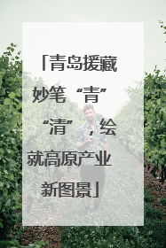 青岛援藏妙笔“青”“清”，绘就高原产业新图景