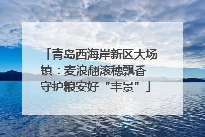 青岛西海岸新区大场镇：麦浪翻滚穗飘香 守护粮安好“丰景”