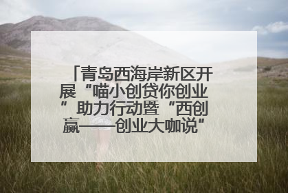 青岛西海岸新区开展“喵小创贷你创业”助力行动暨“西创赢——创业大咖说”主题活动
