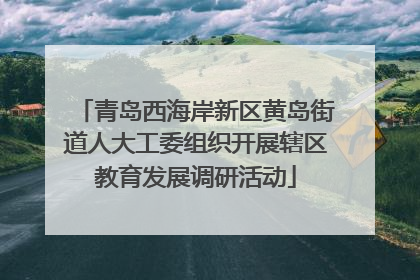 青岛西海岸新区黄岛街道人大工委组织开展辖区教育发展调研活动