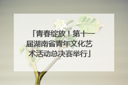 青春绽放！第十一届湖南省青年文化艺术活动总决赛举行