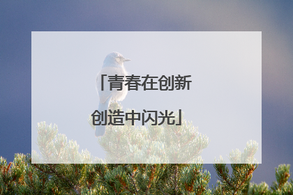 青春在创新创造中闪光