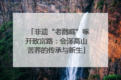 非遗“老鹳嘴”啄开致富路：会泽高山苦荞的传承与新生