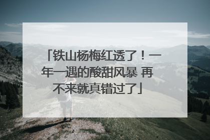 铁山杨梅红透了！一年一遇的酸甜风暴 再不来就真错过了