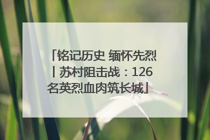 铭记历史 缅怀先烈丨苏村阻击战：126名英烈血肉筑长城