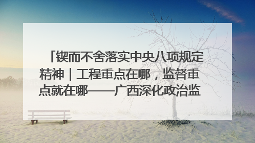 锲而不舍落实中央八项规定精神｜工程重点在哪，监督重点就在哪——广西深化政治监督护航平陆运河建设