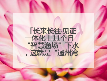 长来长往·见证一体化丨11个月“智慧渔场”下水，这就是“通州湾速度”！