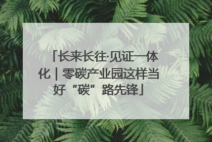 长来长往·见证一体化｜零碳产业园这样当好“碳”路先锋