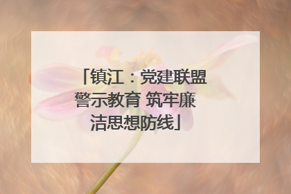 镇江：党建联盟警示教育 筑牢廉洁思想防线