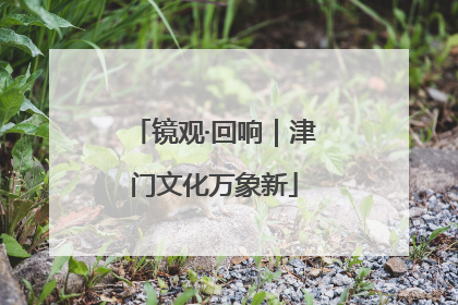 镜观·回响｜津门文化万象新
