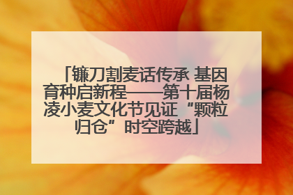 镰刀割麦话传承 基因育种启新程——第十届杨凌小麦文化节见证“颗粒归仓”时空跨越