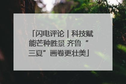 闪电评论｜科技赋能芒种胜景 齐鲁“三夏”画卷更壮美