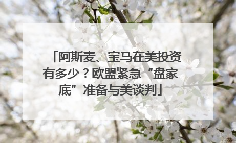 阿斯麦、宝马在美投资有多少？欧盟紧急“盘家底”准备与美谈判
