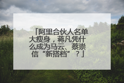 阿里合伙人名单大瘦身，蒋凡凭什么成为马云、蔡崇信“新搭档”？