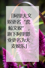 阿里大文娱更名“虎鲸文娱”，旗下阿里影业更名为大麦娱乐