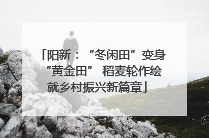 阳新：“冬闲田”变身“黄金田” 稻麦轮作绘就乡村振兴新篇章
