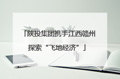 陕投集团携手江西赣州 探索“飞地经济”