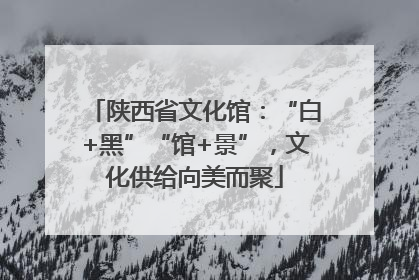 陕西省文化馆：“白+黑”“馆+景”，文化供给向美而聚