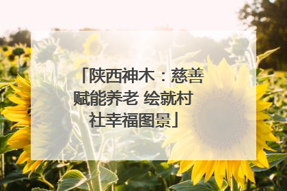陕西神木：慈善赋能养老 绘就村社幸福图景