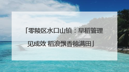 零陵区水口山镇：早稻管理见成效 稻浪飘香穗满田
