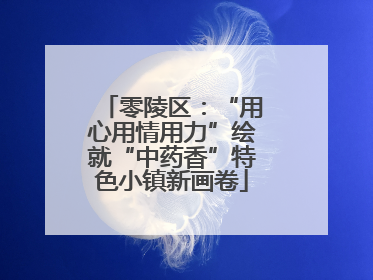 零陵区：“用心用情用力”绘就“中药香”特色小镇新画卷