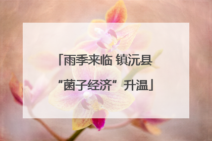 雨季来临 镇沅县“菌子经济”升温