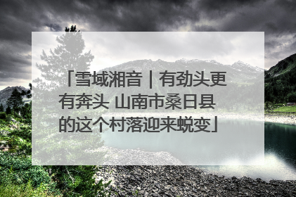 雪域湘音｜有劲头更有奔头 山南市桑日县的这个村落迎来蜕变