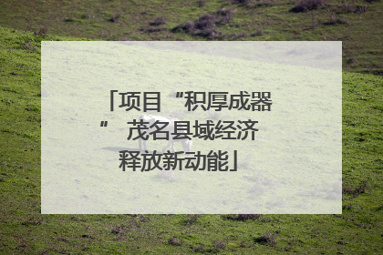 项目“积厚成器” 茂名县域经济释放新动能