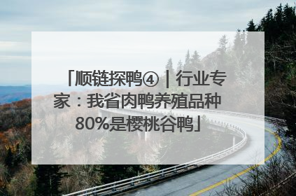 顺链探鸭④｜行业专家：我省肉鸭养殖品种80%是樱桃谷鸭
