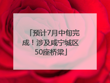 预计7月中旬完成！涉及咸宁城区50座桥梁
