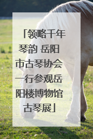 领略千年琴韵 岳阳市古琴协会一行参观岳阳楼博物馆古琴展