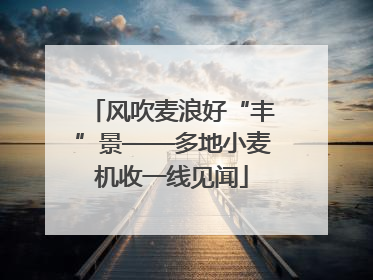 风吹麦浪好“丰”景——多地小麦机收一线见闻