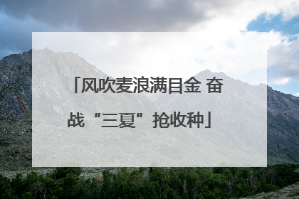 风吹麦浪满目金 奋战“三夏”抢收种