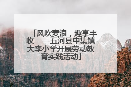 风吹麦浪，趣享丰收——五河县申集镇大李小学开展劳动教育实践活动