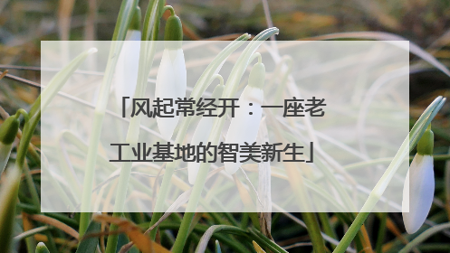 风起常经开：一座老工业基地的智美新生