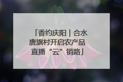 香约庆阳｜合水唐旗村开启农产品直播“云”销路