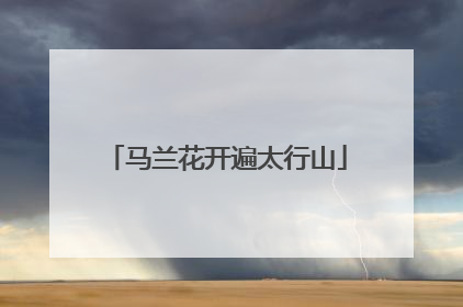 马兰花开遍太行山