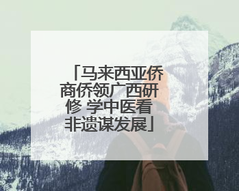 马来西亚侨商侨领广西研修 学中医看非遗谋发展