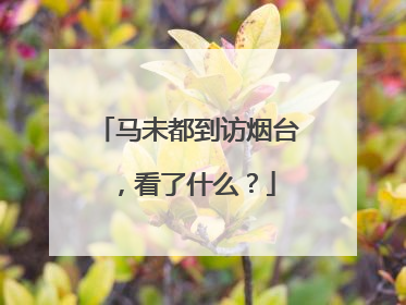 马未都到访烟台，看了什么？