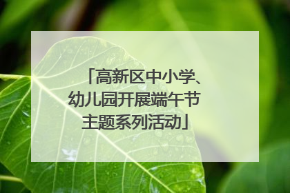高新区中小学、幼儿园开展端午节主题系列活动